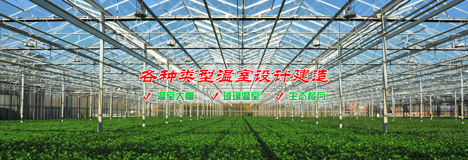 臥式直連爪型干式真空泵的工作原理