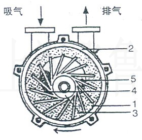 2BV型水環(huán)式真空泵及壓縮機工作原理圖